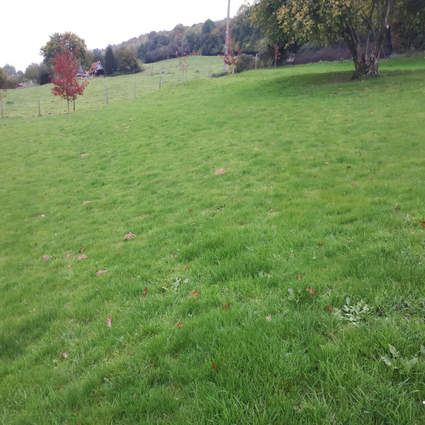 Offres de vente Terrain Montville 76710